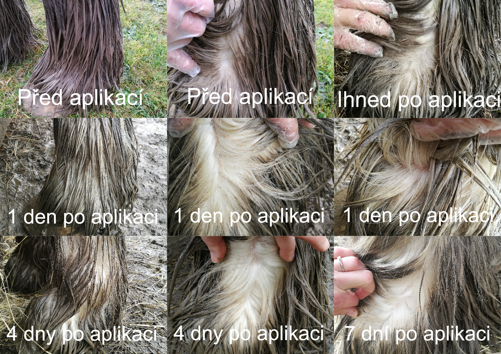 Aplikace do zablácených rousů