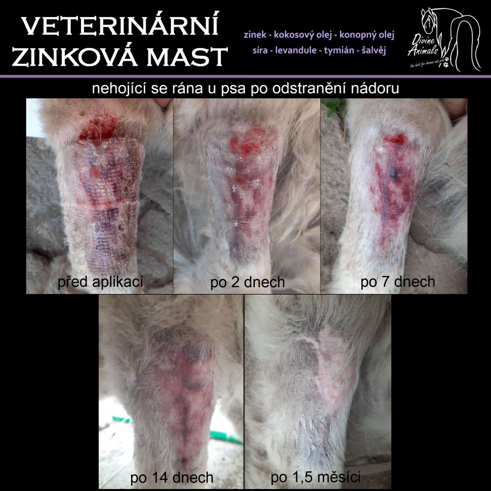 Veterinární zinková mast