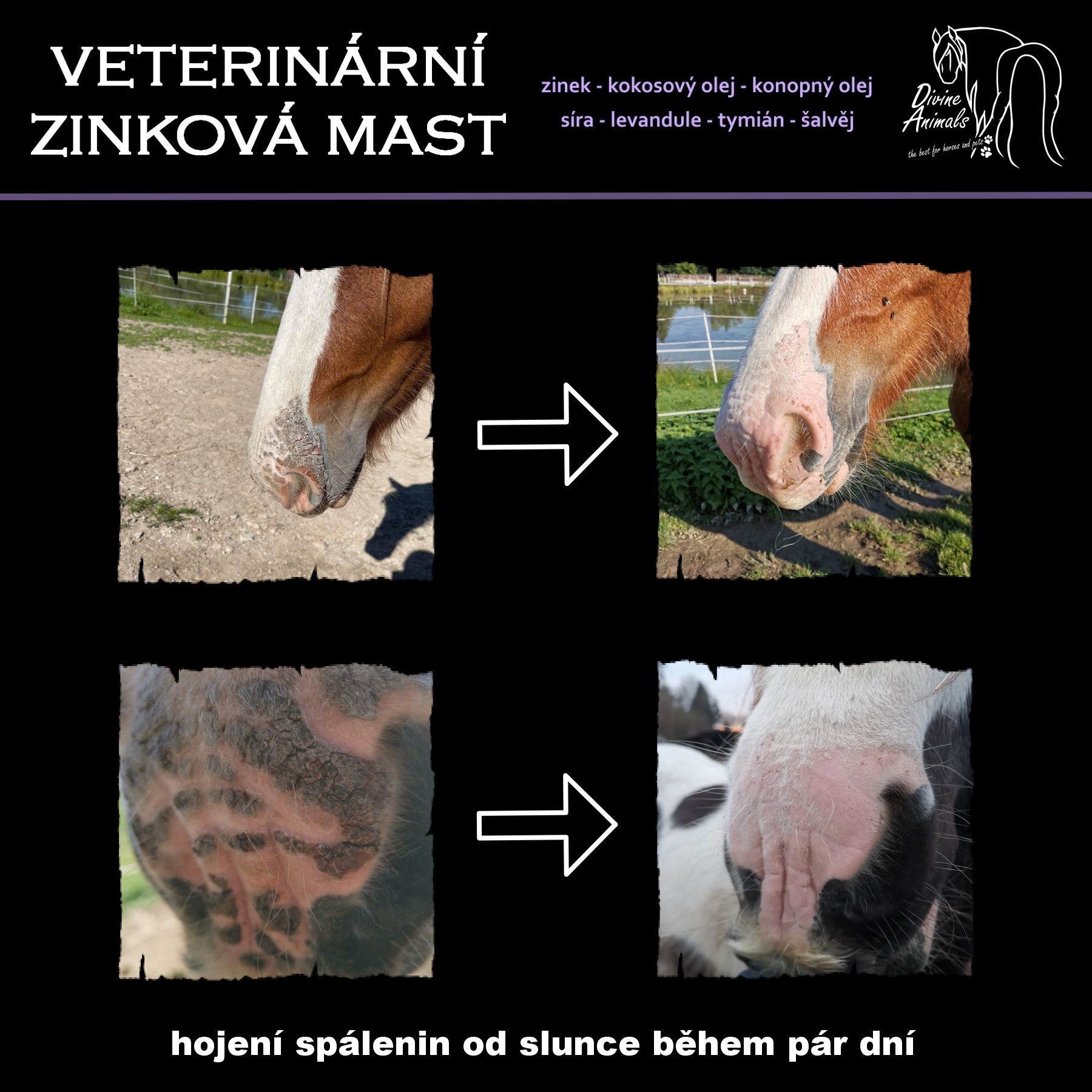 Veterinární zinková mast